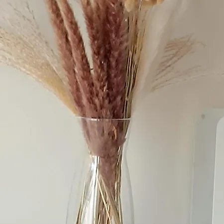 דירה Coco Chanel Cosy 45 M2 Centre Fast Wifi