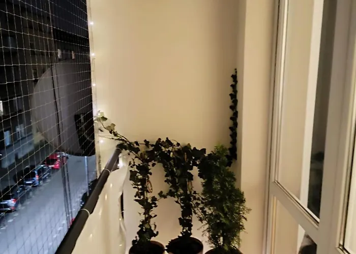 Coco Chanel Cosy 45 M2 Centre Fast Wifi