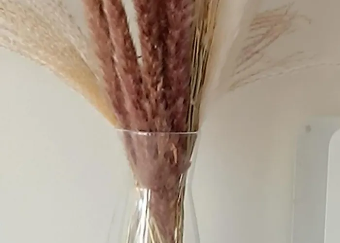 Apartman Coco Chanel Cosy 45 M2 Centre Fast Wifi